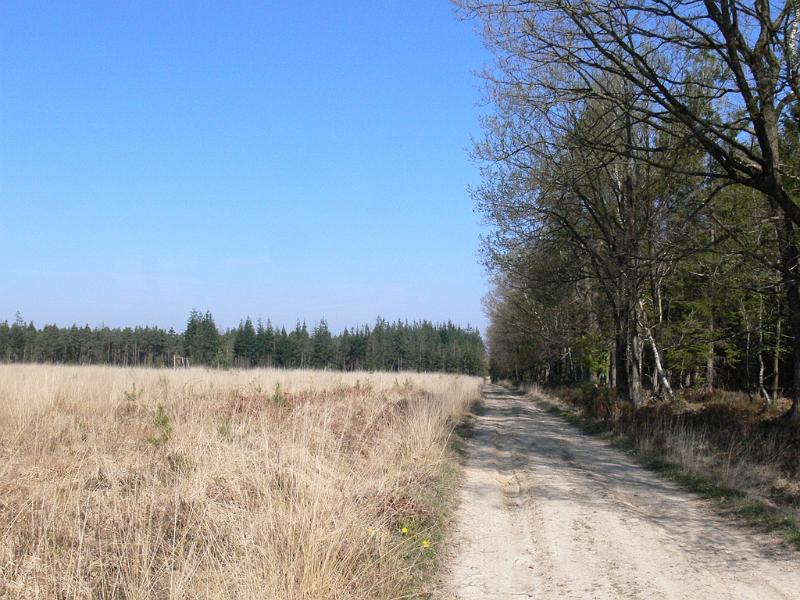 Mont Saint Michel 2010 - 075.jpg